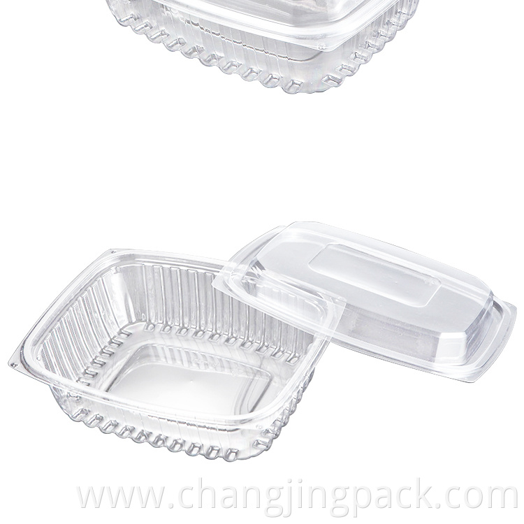 plastic fruit container